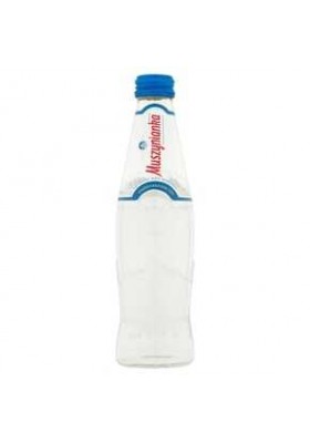 WATER MUSZYNIANKA GAS 300ML FLES